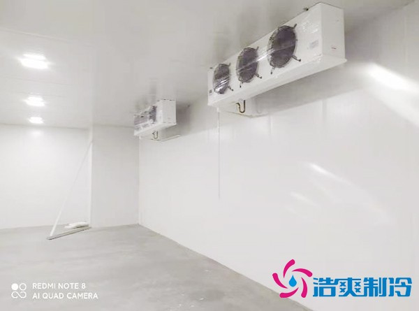 建造3000㎡农产品气调保鲜冷库造价大概投资多少钱?