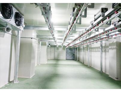 上海4100立方米猪肉屠宰加工冷库规划工程项目