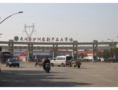 武汉白沙洲农产品中心冷链市场3万吨低温冷库工程案例