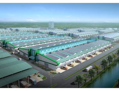 上海西郊国际农产品交易中心10800m³果蔬冷库工程建造方案