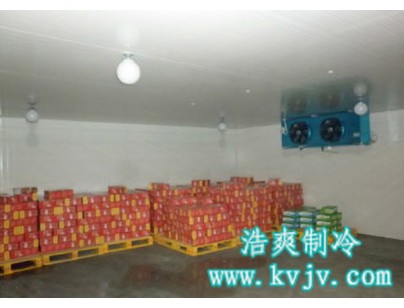 武汉蒙牛乳业1200立方乳制品冷库（食品保鲜冷藏库）工程案例