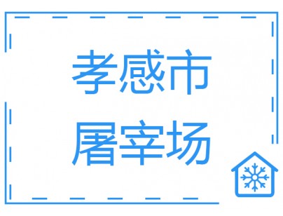 湖北孝感生猪屠宰场大型低温冷库工程建造案例