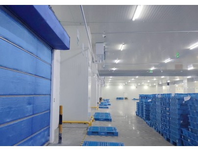 17000m³生鲜电商冷库叮咚买菜冷链物流配送中心冷库工程建造方案