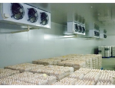 湖北神地农业10000平方大型鲜鸡蛋气调库工程建造方案