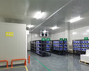 晋城疾控中心疫苗冷库建设要求