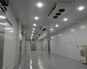 医药冷库建造这些您了解吗？药品冷库建设多少钱