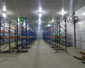 自动化医药冷库运营管理系统：提升效率与准确性