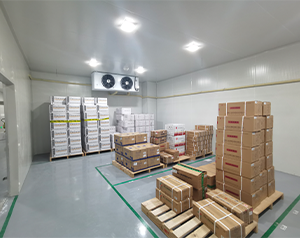 自动化医药冷库运营管理系统：提升效率与准确性