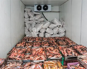万平米生鲜食品物流6138澳门太阳成城考虑因素
