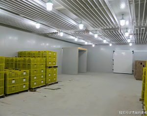 建设一个150平米气调库，大概需要多少资金