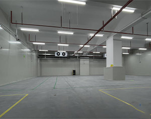 气调冷库建成后如何正确储存果蔬？