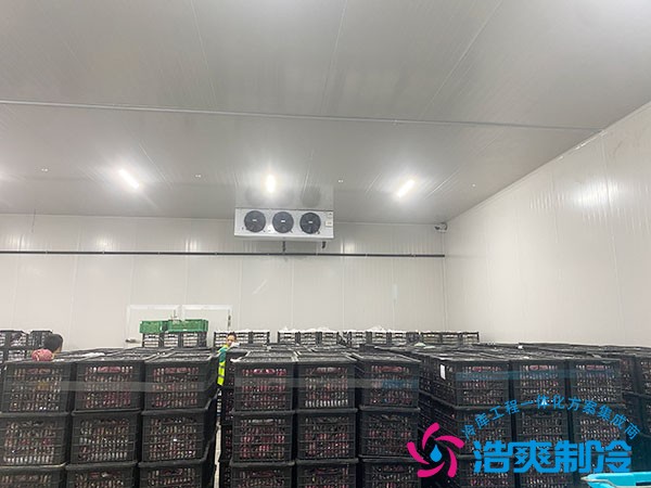 100立方冷冻库造价预算需要多少钱？