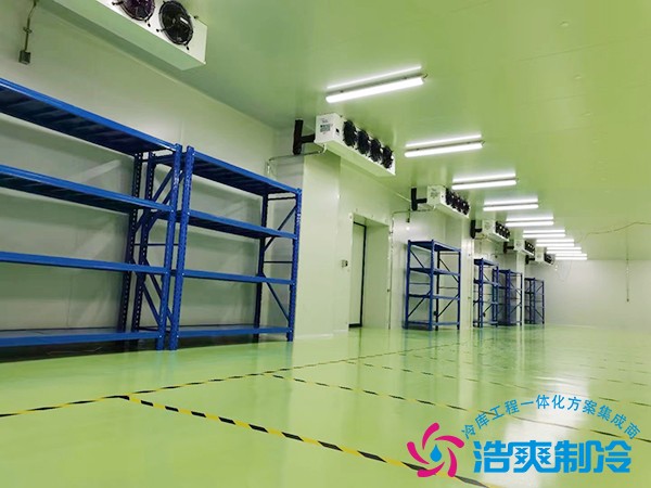 动物标本6138澳门太阳成城成本