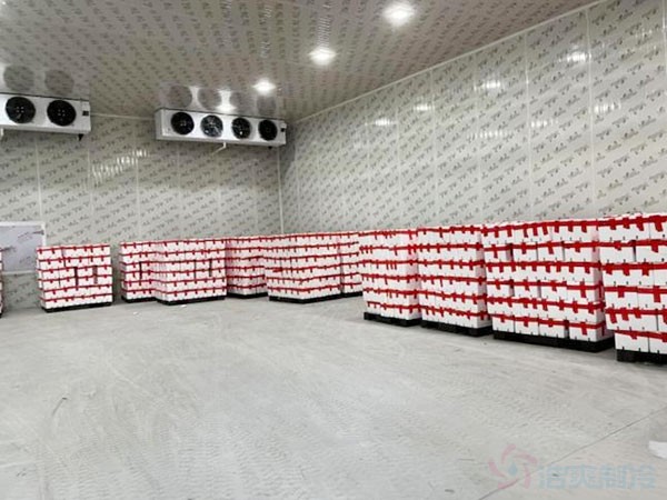 苹果冷藏库建设费用一平方多少钱?