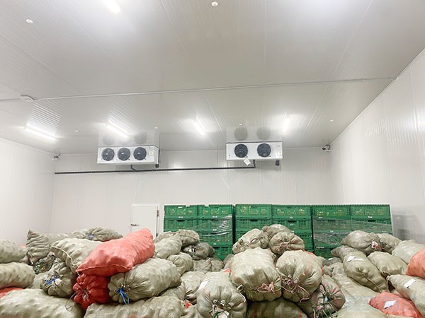 影响蔬菜保鲜冷库建造价格的因素有哪些？