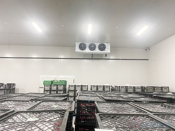 金针菇冷库和香菇冷库建造价格是如何计算的?