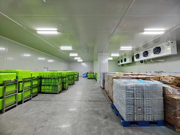 大型工业药品冷库建设安装价格大概多少钱？