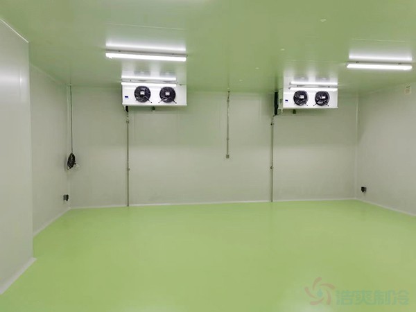 -20度的RNR疫苗冷库储存要求及配置标准