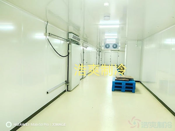 三甲医院冷库建设