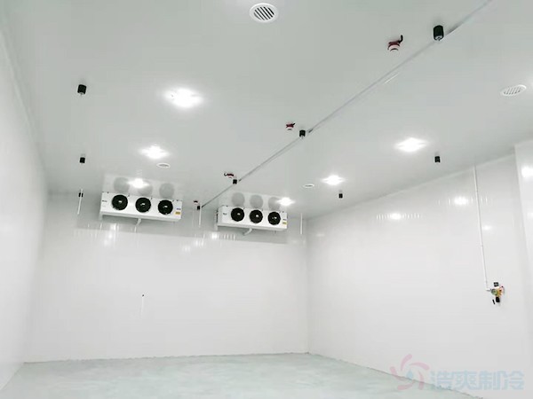 上海啤酒冷藏库建设