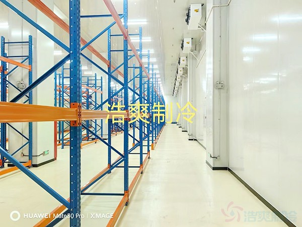 河北2-8℃医药标准冷库设计多少钱？