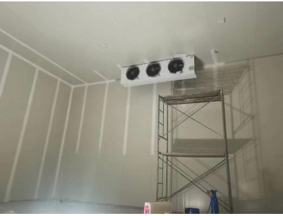 浙江仙居股份经济合作社羊肚菌气调保鲜冷库建造工程案