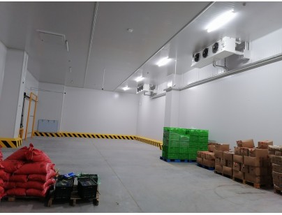 杭州盒马48000m³生鲜配送型冷链物流园冷库建造工程案例