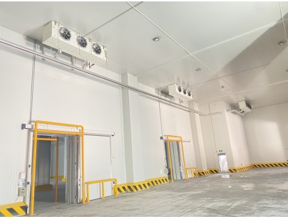 杭州盒马48000m³生鲜配送型冷链物流园冷库建造工程案例