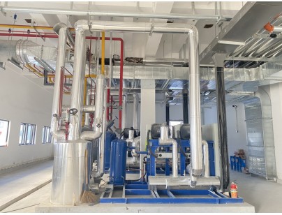 杭州盒马48000m³生鲜配送型冷链物流园冷库建造工程案例