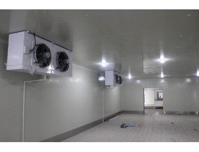 我厨（上海）生鲜果蔬净菜加工冷库工程建造案例