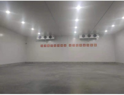 新疆伊宁78525m³保税区冷链物流园大型冷库建造工程