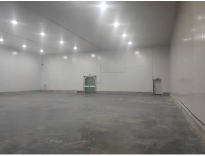 新疆伊宁78525m³保税区冷链物流园大型冷库建造工程