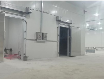 广西大化起点农牧2000m³畜禽肉类屠宰加工冷链中心建造冷库工程案例