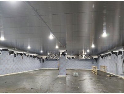 浙江省宁波市余姚创丰毛皮制品1206m³原料储藏冷库工程案例