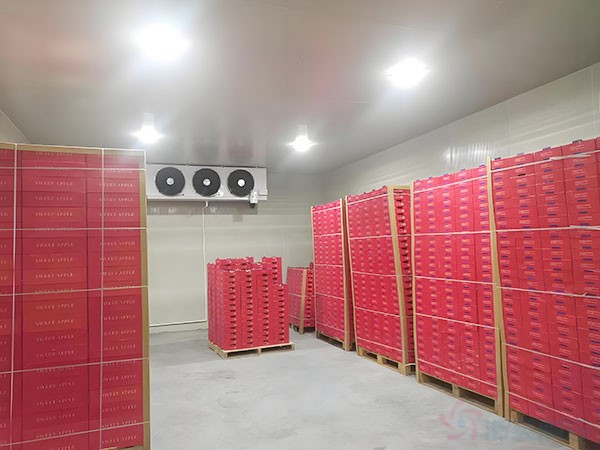 上海冷库建设