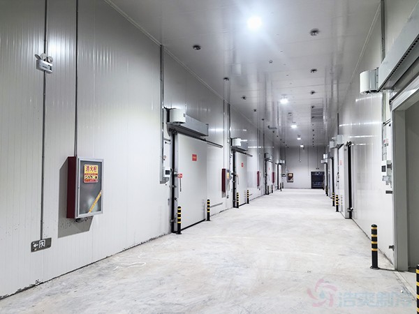 20000平冷库建设