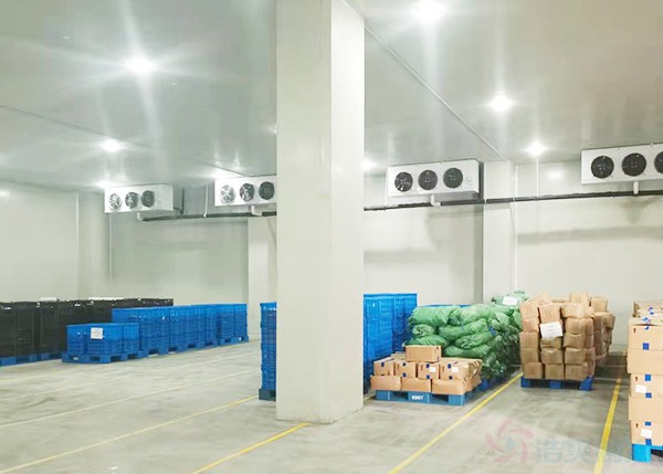 恒温冷库建造价钱