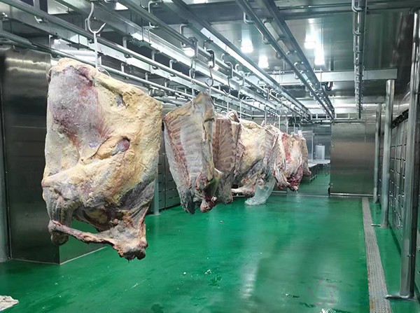 肉类出口加工冷库