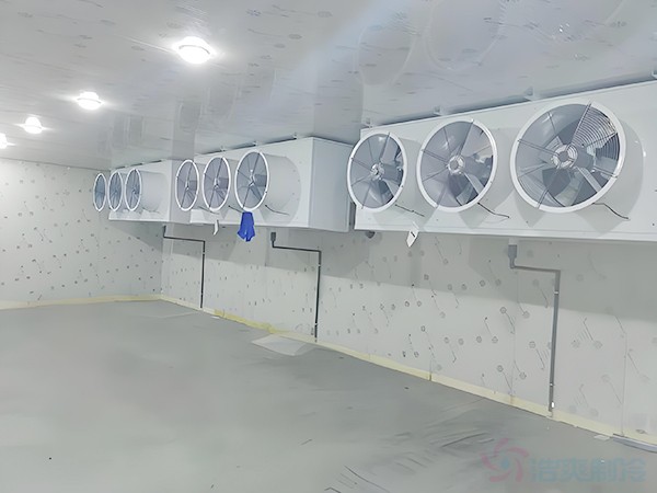 急冻冷库建造