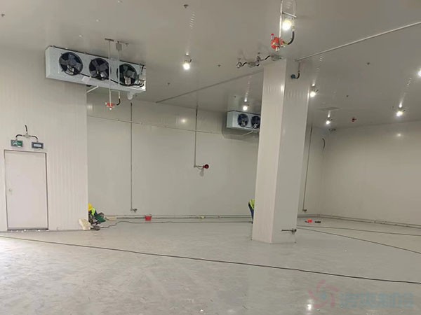 半导体冷库建造