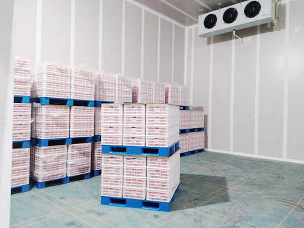 存储苹果冷库建造