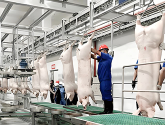 什么是屠宰冷库？屠宰厂冷库原理详解