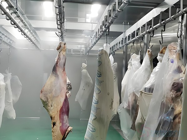 屠宰厂冷库建造