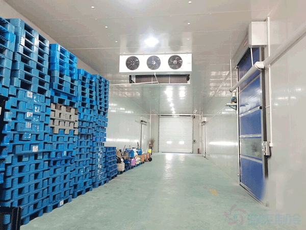 工厂冻库建造