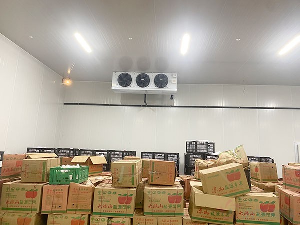 水果冷库建造