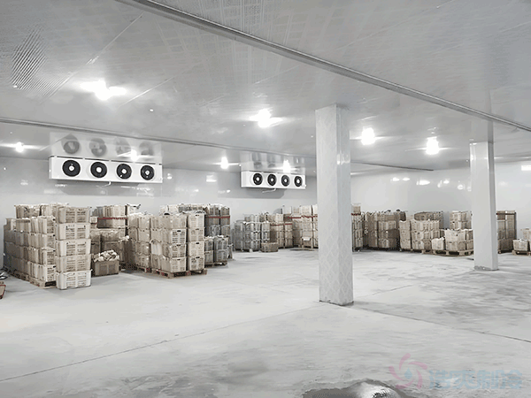 山药冷藏温度标准