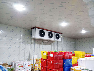 蔬菜保鲜冷库造价多少钱一平方？