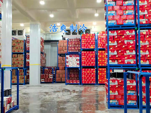 气调冷库造价