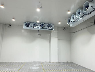 240立方米冻鱼冷库造价多少钱