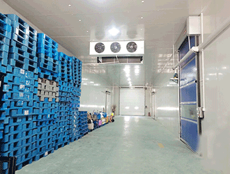 冷库建设费用一般多少一平方？冷库建设费用怎么算更准